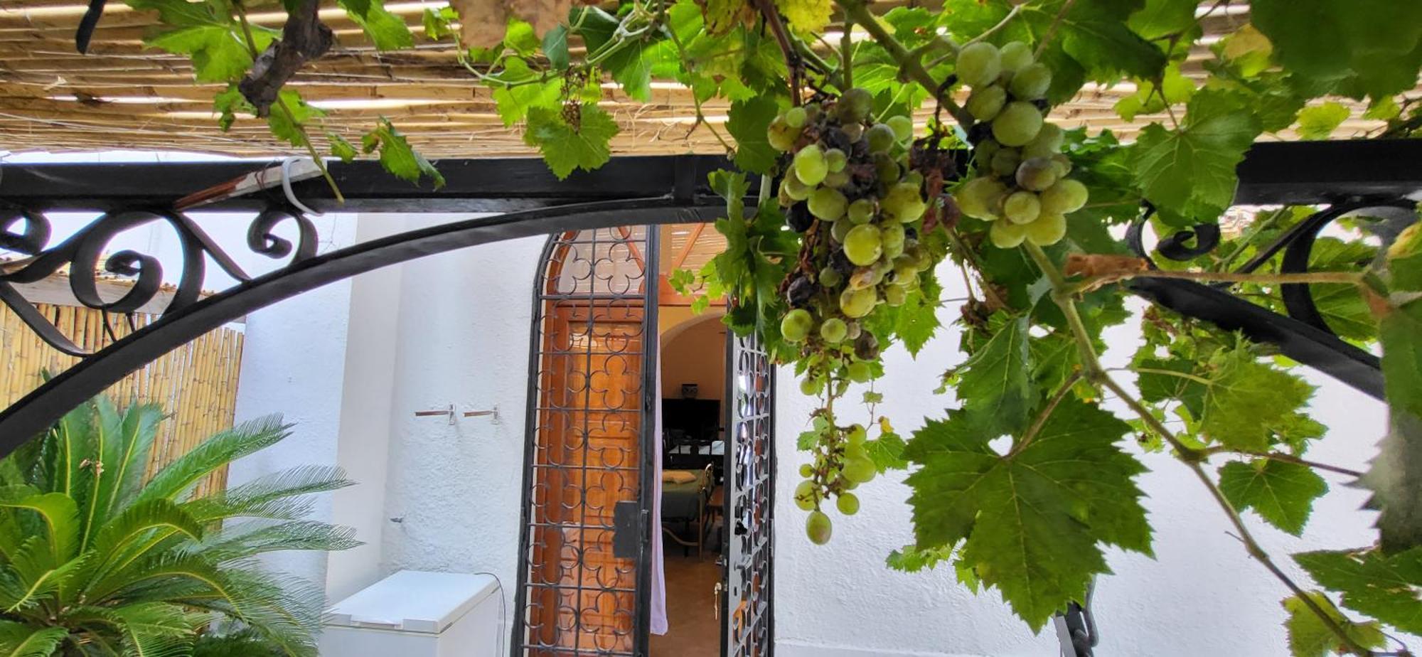 Bed and Breakfast Quietness Vico Equense Exterior foto